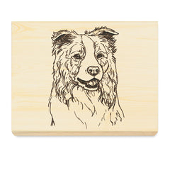 Border Collie Cutting Board, Laser Engraved - 14x18" or 18x14"