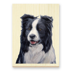 Border Collie reproduction of artist Zann Hemphill's original oil painting, printed directly onto a solid piece of 1" Mountain Pine, and ready to hang.