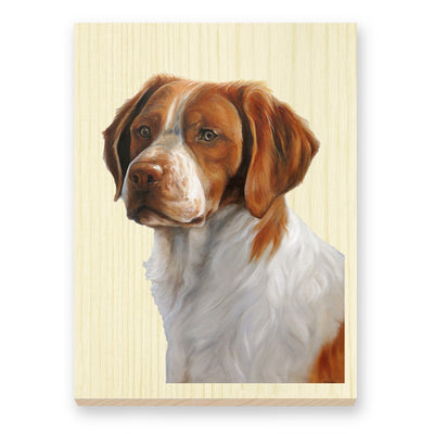 Brittany Spaniel reproduction of artist Zann Hemphill's original oil painting, printed directly onto a solid piece of 1" Mountain Pine, and ready to hang.  12" x 16" x 1" pale Mountain Pine One solid piece of wood Complete with hardware, ready to hang