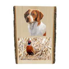 Brittany Spaniel portrait by artist Zann Hemphill, above a photo of a Pheasant, printed directly onto a solid piece of Live Edge 1" Mountain Pine, and ready to hang. Now available from Rascals Sporting Dogs.