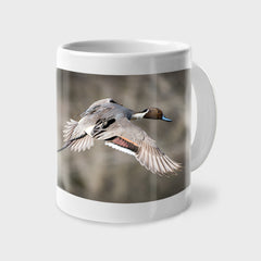 Pintail Duck Coffee Mug, 12oz