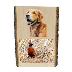 Golden Retriever portrait by artist Zann Hemphill, above a photo of a Pheasant, printed directly onto a solid piece of Live Edge 1" Mountain Pine, and ready to hang. Now available from Rascals Sporting Dogs.