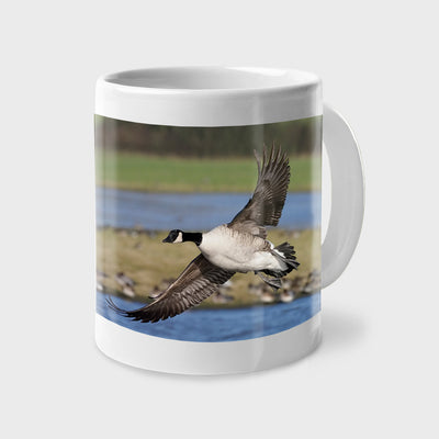 A great gift for sporting dog and waterfowl lovers! A fabulous photo of a Canada Goose in flight, printed on a 12oz white ceramic coffee mug - also available as a set of 4 (four).