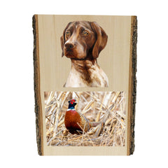 German Shorthair Pointer portrait by artist Zann Hemphill, above a photo of a Pheasant, printed directly onto a solid piece of Live Edge 1" Mountain Pine, and ready to hang. Now available from Rascals Sporting Dogs.