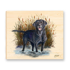 This splendid watercolor-style painting is of a Black Labrador Retriever, standing in a pond surrounded by bullrushes. Printed on a solid piece of Mountain Pine, the original painting is reproduced as a beautiful ready-to-hang work of fine art.