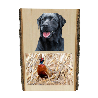Black Labrador Retriever portrait by artist Zann Hemphill, above a Pheasant photo, printed directly onto a solid piece of Live Edge 1" Mountain Pine, and ready to hang. Now available from Rascals Sporting Dogs.