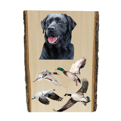 Black Labrador Retriever portrait by artist Zann Hemphill, above 3 ducks and a Canada Goose in flight, printed directly onto a solid piece of Live Edge 1" Mountain Pine, and ready to hang. Now available from Rascals Sporting Dogs.
