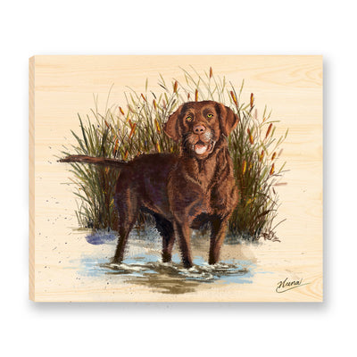 This splendid watercolor-style painting is of a Chocolate Labrador Retriever, standing in a pond surrounded by bullrushes. Printed on a solid 14x12x1" piece of Mountain Pine, the original painting is reproduced as a beautiful ready-to-hang work of fine art.