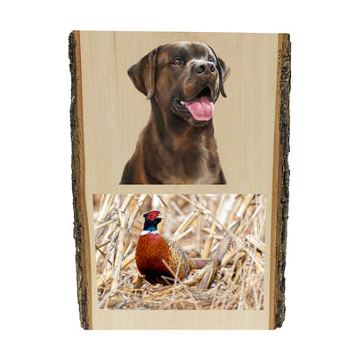 Chocolate Lab portrait by artist Zann Hemphill, above a photo of a Pheasant, printed directly onto a solid piece of Live Edge 1" Mountain Pine, and ready to hang. Now available from Rascals Sporting Dogs.