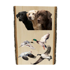 A trio of a Black, Yellow, and Chocolate Labrador Retriever, above 3 ducks and a Canada Goose in flight, printed directly onto a solid piece of Live Edge 1" Mountain Pine, and ready to hang. Now available from Rascals Sporting Dogs.