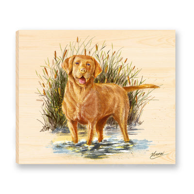 This splendid watercolor-style painting is of a Yellow Labrador Retriever, standing in a pond surrounded by bullrushes. Printed on a solid piece of Mountain Pine, the original painting is reproduced as a beautiful ready-to-hang work of fine art.