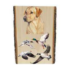 Yellow Labrador Retriever portrait by artist Zann Hemphill, above 3 ducks and a Canada Goose in flight, printed directly onto a solid piece of Live edge 1" Mountain Pine, and ready to hang - now available from Rascals Sporting Dogs.
