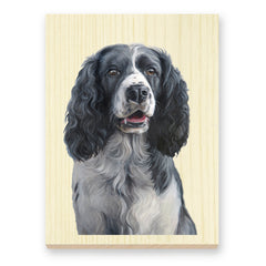 Black & White Springer Spaniel reproduction of artist Zann Hemphill's original oil painting, printed directly onto a solid piece of 1" Mountain Pine, and ready to hang.
