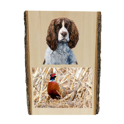 Brown & White Springer Spaniel portrait by artist Zann Hemphill, above a photo of a Pheasant, printed directly onto a solid piece of Live Edge 1" Mountain Pine, and ready to hang. Now available from Rascals Sporting Dogs.
