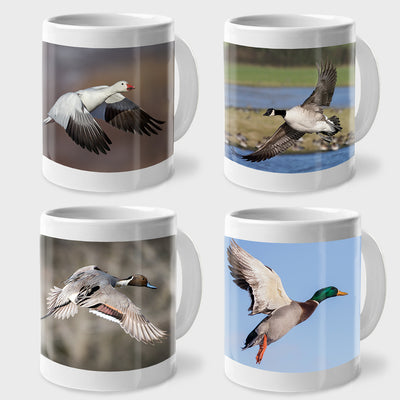 A great gift for sporting dog and waterfowl lovers! Fabulous photos of a Mallard Duck, Pintail Duck, Snow Goose, and Canada Goose, all in flight - printed on a set of 4 12oz white ceramic coffee mugs.